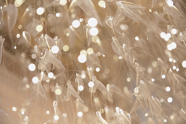 photographie corporate architecture détail lustre