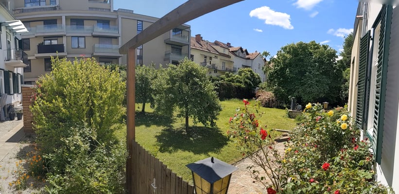 Der Blick in den Garten vor der Praxis. Es ist ein geräumiger Innenhof, der hauptsächlich aus Wiese, Bäumen und Sträuchern besteht. Der Himmel ist strahlend blau.