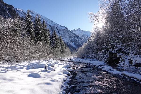 Die Trettach, Bilder: Brigitte Kraft