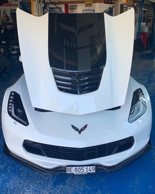 The Jake on Point 🖤🤍💀