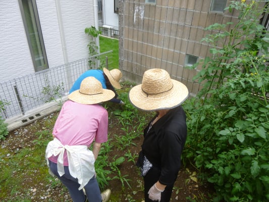 ここ笑みデイサービスの農作業３