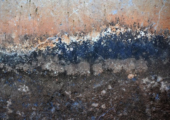 indian walls 2010_nr.32