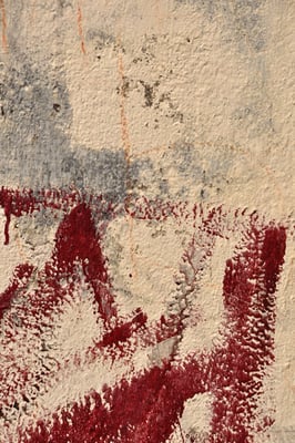 indian walls 2010_nr.19