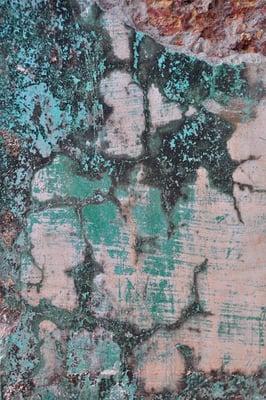 indian walls 2010_nr.2