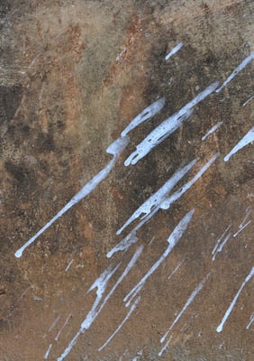 indian walls 2010_nr.27