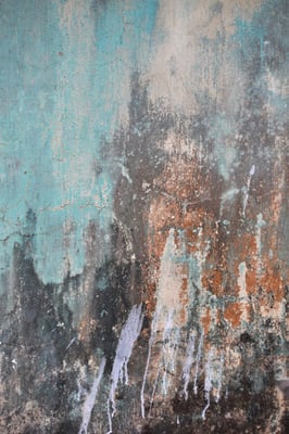 indian walls 2010_nr.1