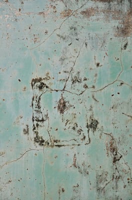 indian walls 2010_nr.16