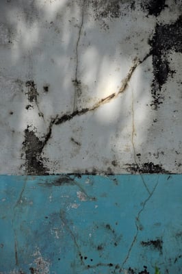 indian walls 2010_nr.7