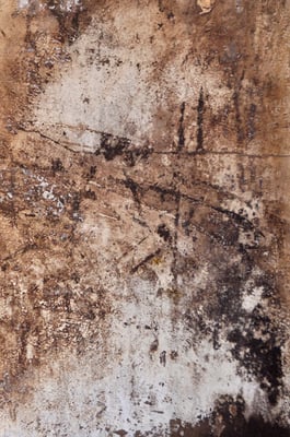 indian walls 2010_nr.14