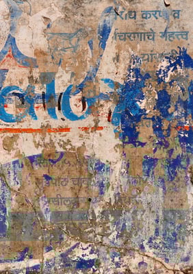 indian walls 2010_nr.31