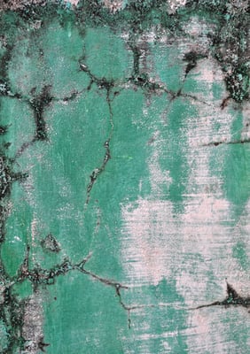 indian walls 2010_nr.28