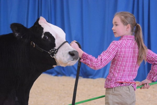 2015 photo credit Aleesha Nicole Photography