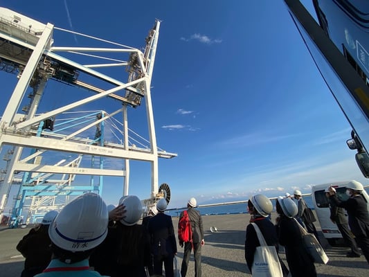 新興津コンテナターミナル：ガントリークレーンの下