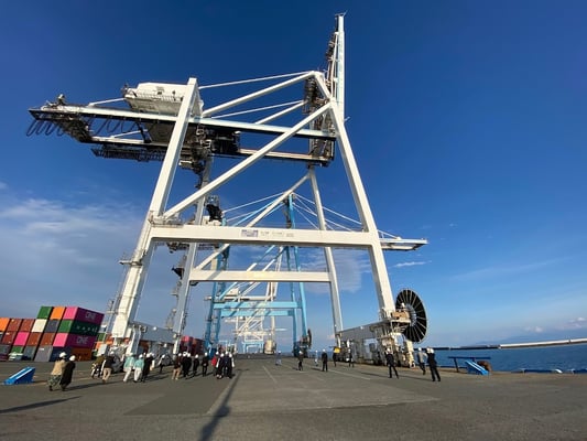 新興津コンテナターミナル：ガントリークレーンの下