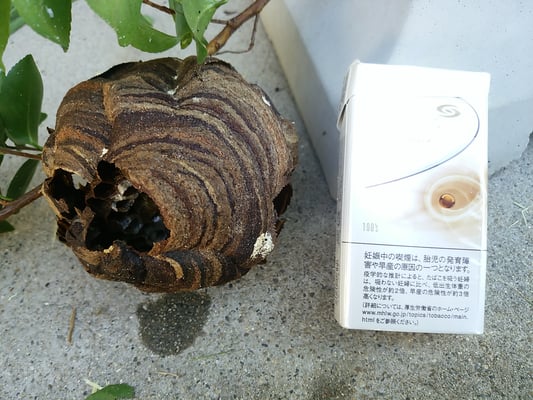 スズメバチの巣駆除＠奈良県北葛城郡