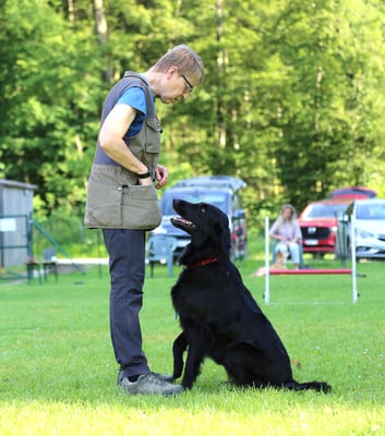 Begleithund/Obedience © Hundeschule gooddog