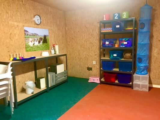 Clicker-Training © Hundeschule gooddog