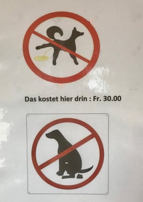 Clicker-Training © Hundeschule gooddog