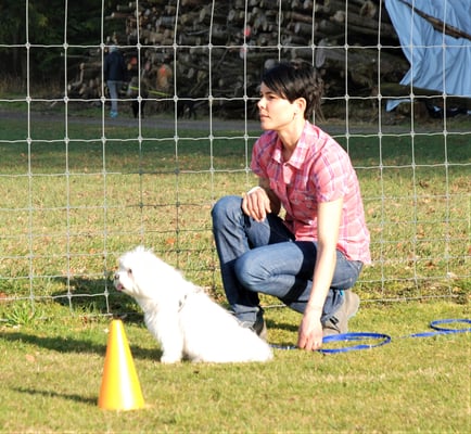 Simone Furrer © Hundeschule gooddog