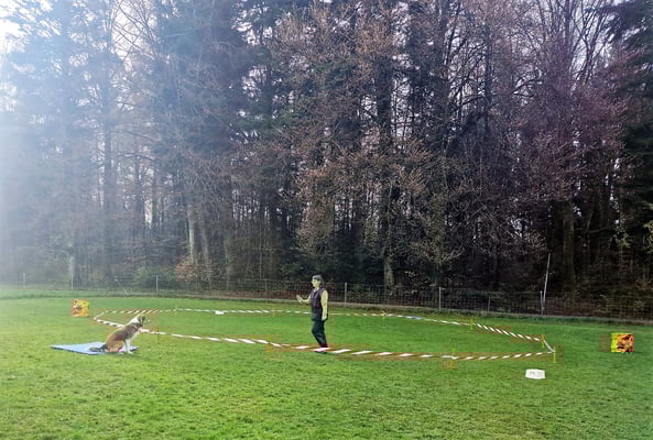 © Hundeschule gooddog 