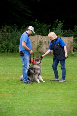 © Hundeschule gooddog