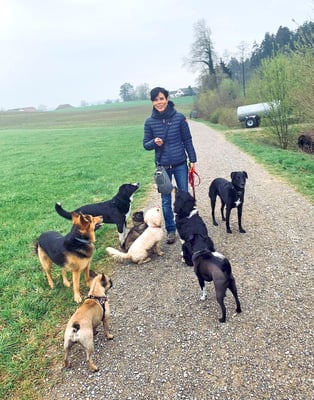 Simone Furrer © Hundeschule gooddog