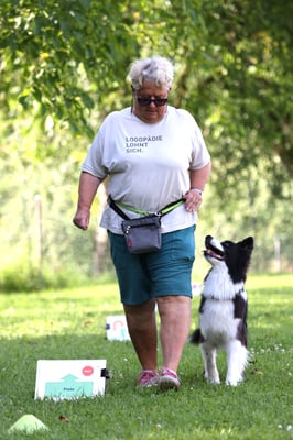 Rally-Obedience © Hundeschule gooddog