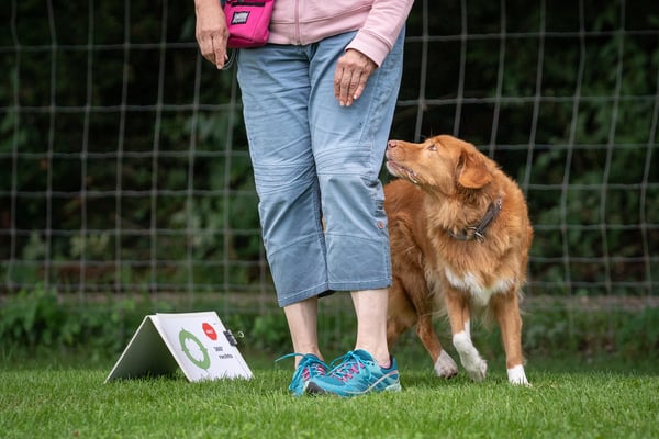Rally-Obedience © Hundeschule gooddog