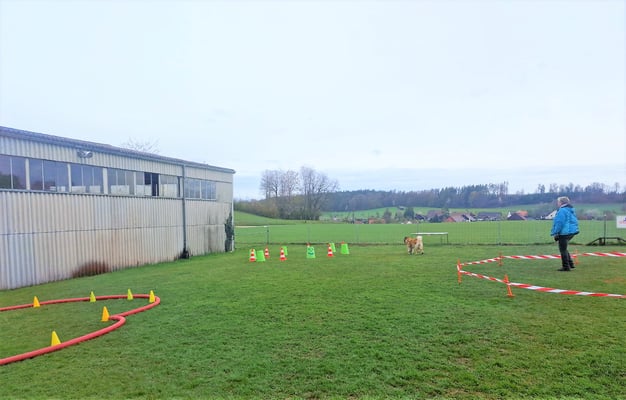 © Hundeschule gooddog 