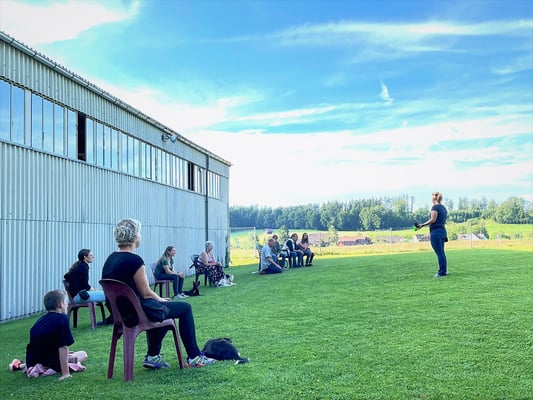 Junghundekurs @ Hundeschule gooddog