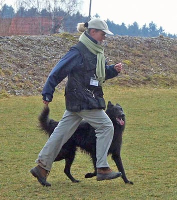 Freifolge © Hundeschule gooddog