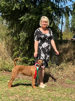 Ringtraining © Hundeschule gooddog