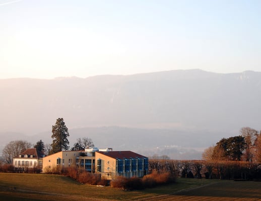 Firmenausflug mit Weingutbesichtigung und Apfelplantage