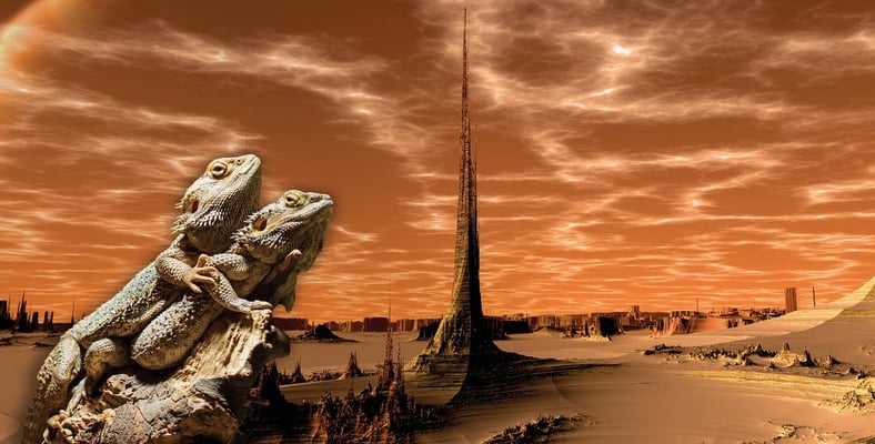 Terrarium LED Rückwand Mordor nach Maß