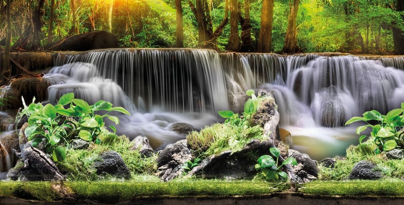 Paludariumrückwand mit einem Wasserfall als Motiv