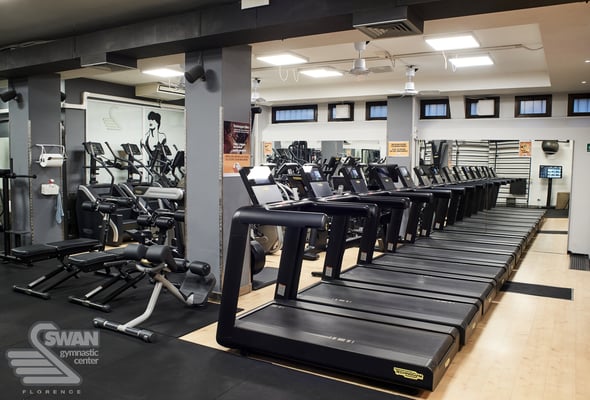 SWAN GYMNASTIC CENTER | Florence 