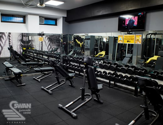 SWAN GYMNASTIC CENTER | Florence 
