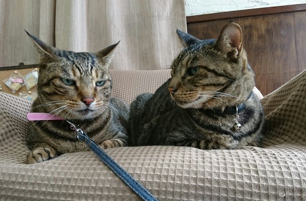 №22　ショウ＆ロン