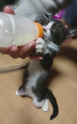 №16  みっちゃん