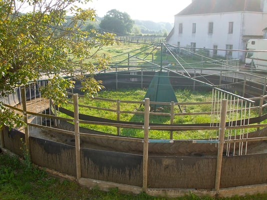 marcheur des écurie bruno garez