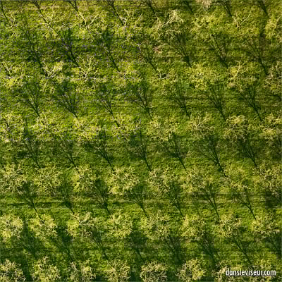 Meurthe-et-Moselle, France