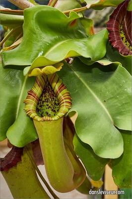 Jardin botanique Jean-Marie Pelt, Villers-lès-Nancy, France