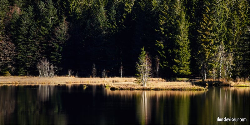 Lac de Lispach, Vosges, France