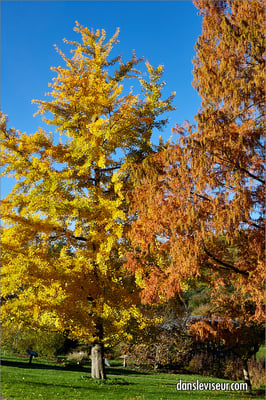 Jardin botanique Jean-Marie Pelt, Villers-lès-Nancy, France