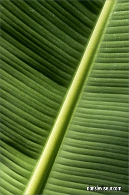 Jardin botanique Jean-Marie Pelt, Villers-lès-Nancy, France