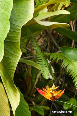 Jardin botanique Jean-Marie Pelt, Villers-lès-Nancy, France