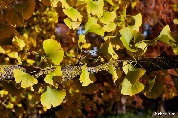 Jardin botanique Jean-Marie Pelt, Villers-lès-Nancy, France