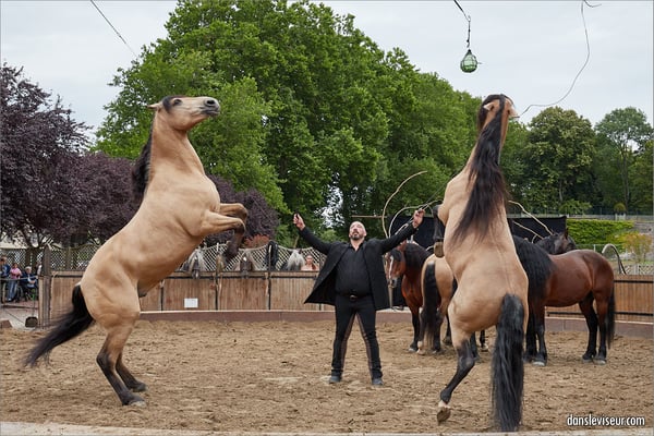 SCÈNES EN SELLE, "Après la fête" (cie Jehol), Lunéville, France