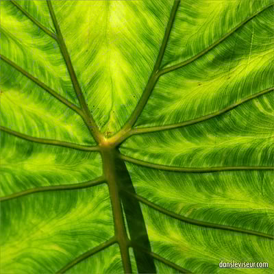 Meurthe-et-Moselle, France