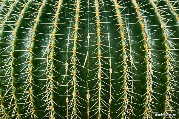 Jardin botanique Jean-Marie Pelt, Villers-lès-Nancy, France